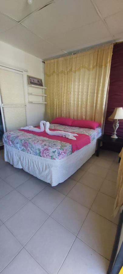 Posada Nativa Trinsan Centro San Andrés Eksteriør billede
